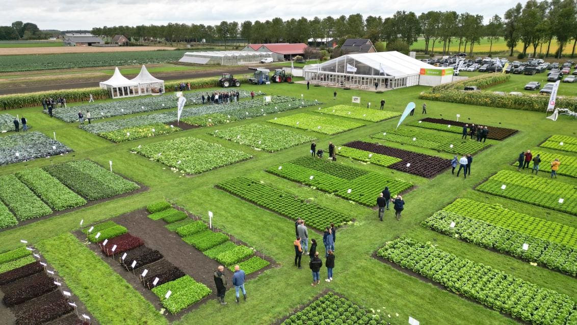 AI v zemědělství: Algoritmy zvyšují úrodu a udržitelnost