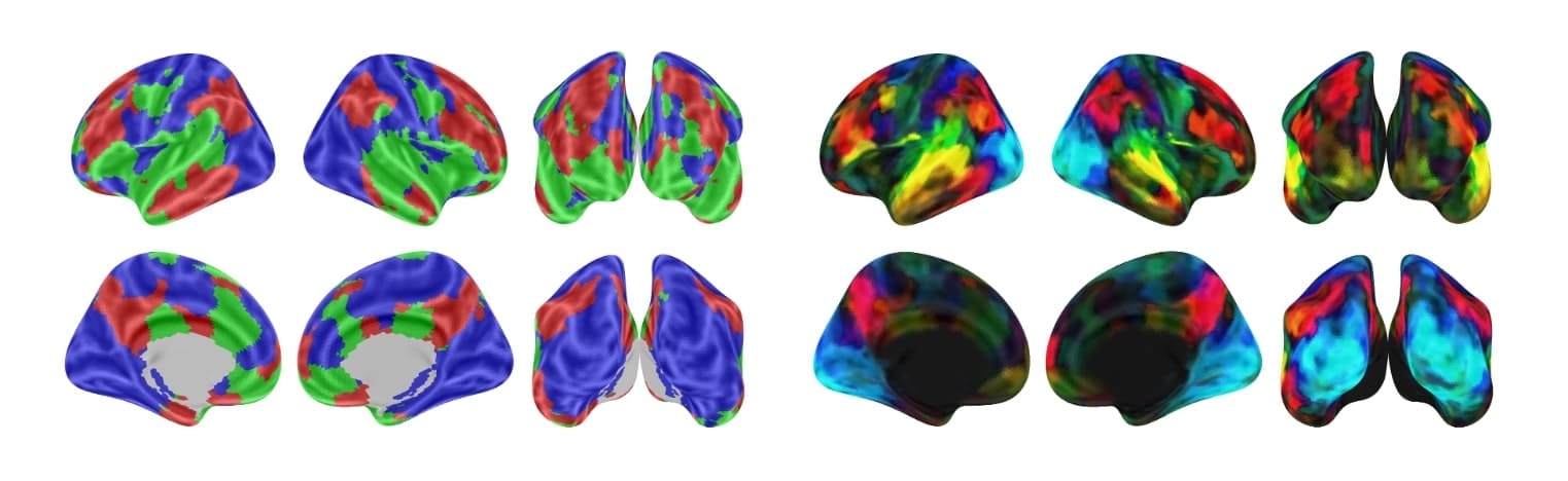 Meta AI TRIBE: AI model, který dekóduje mozek při sledování videí